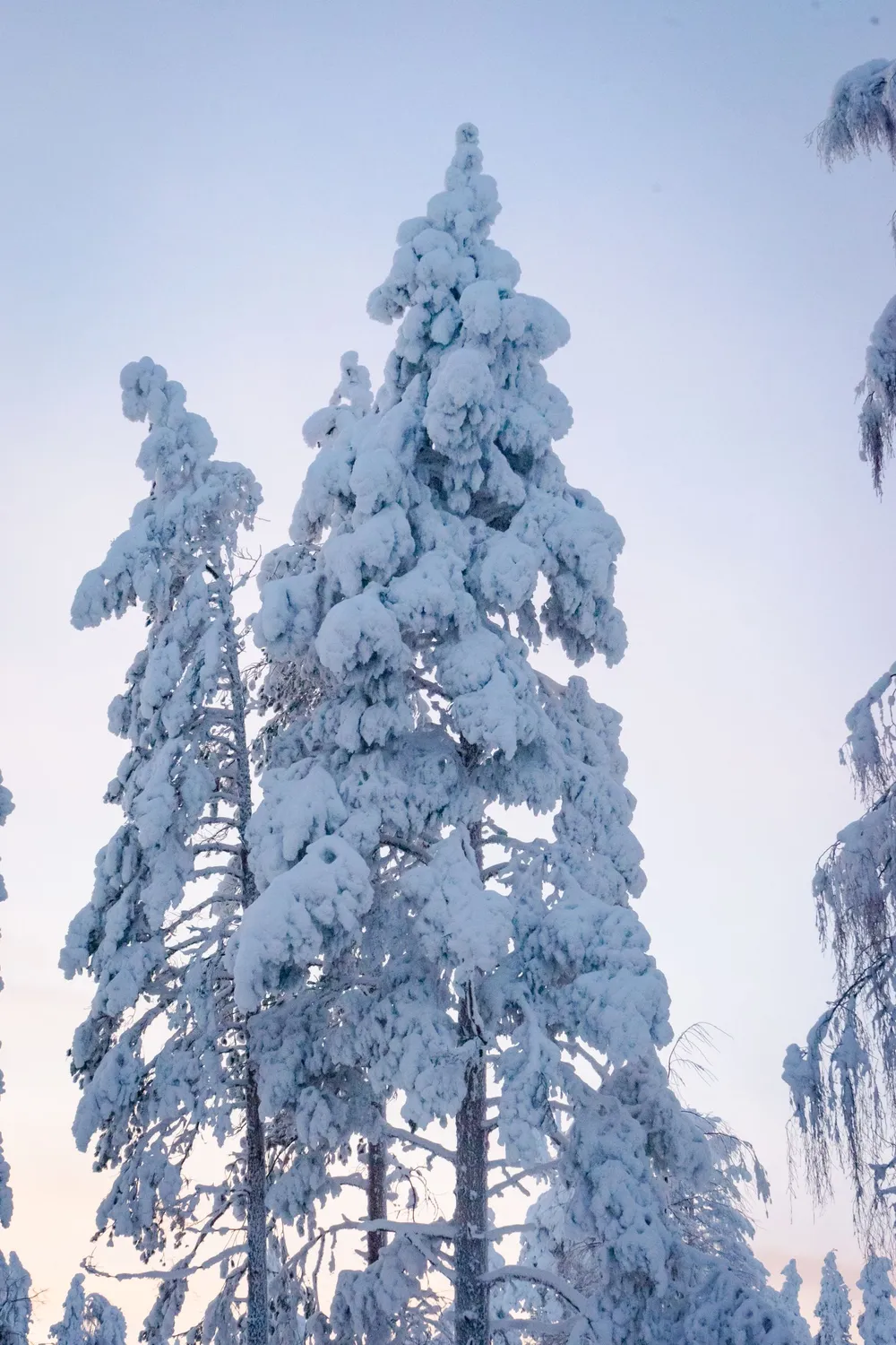 Lapônia Finlandesa