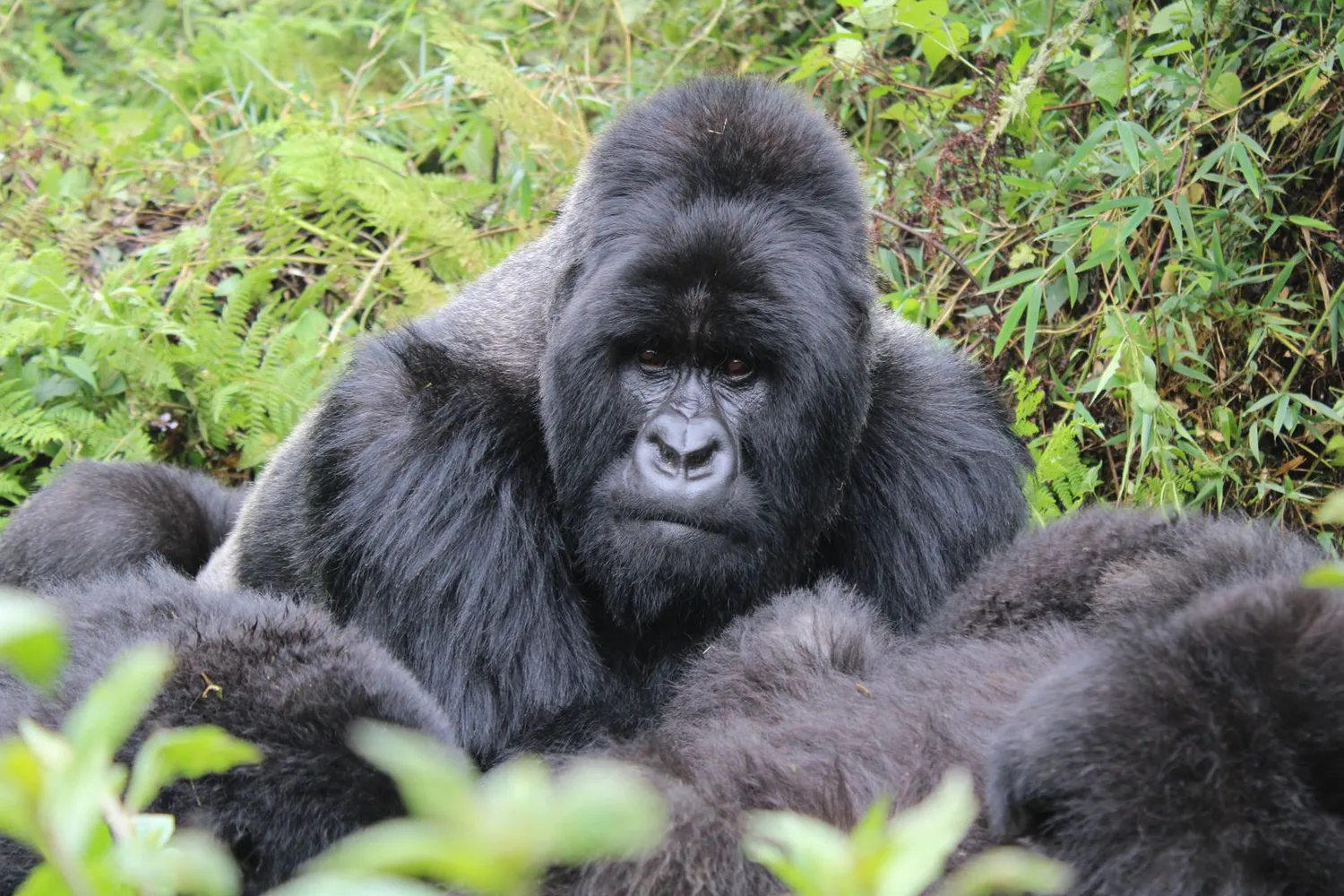 Ruanda