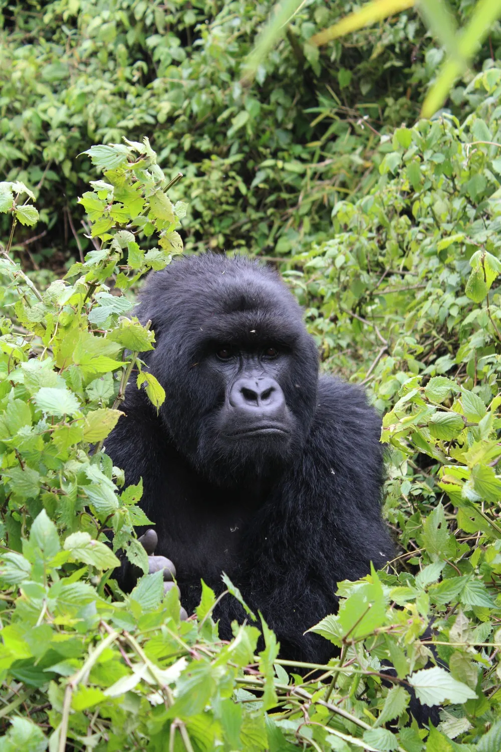 Ruanda