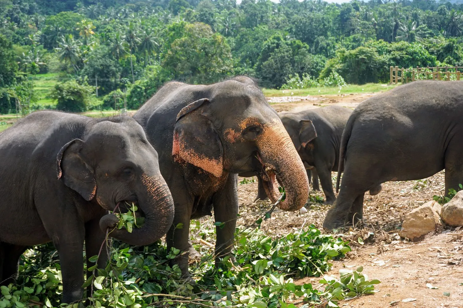 Sri Lanka