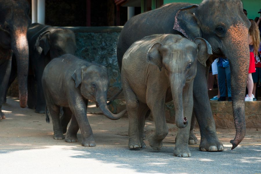 Sri Lanka